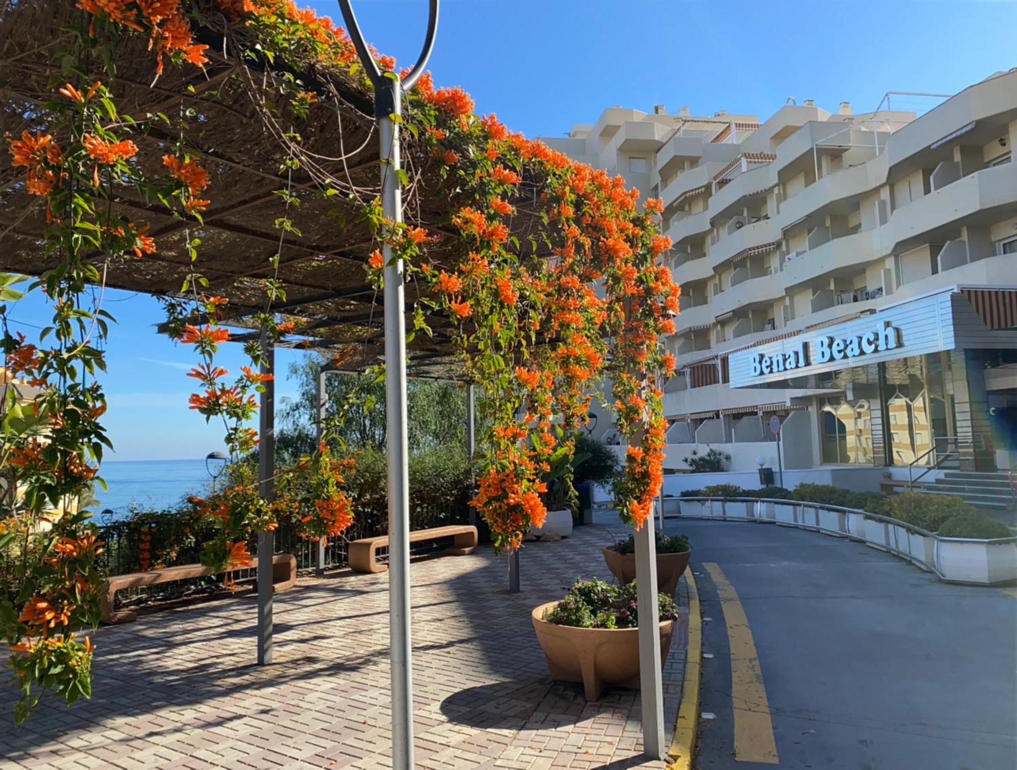 Benal Beach Apartamento Mountain View Benalmadena Bagian luar foto